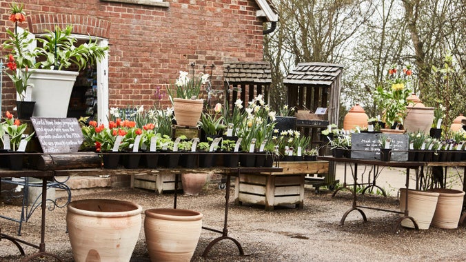 Plants for sale in the shop at Sissinghurst Castle Garden, Kent